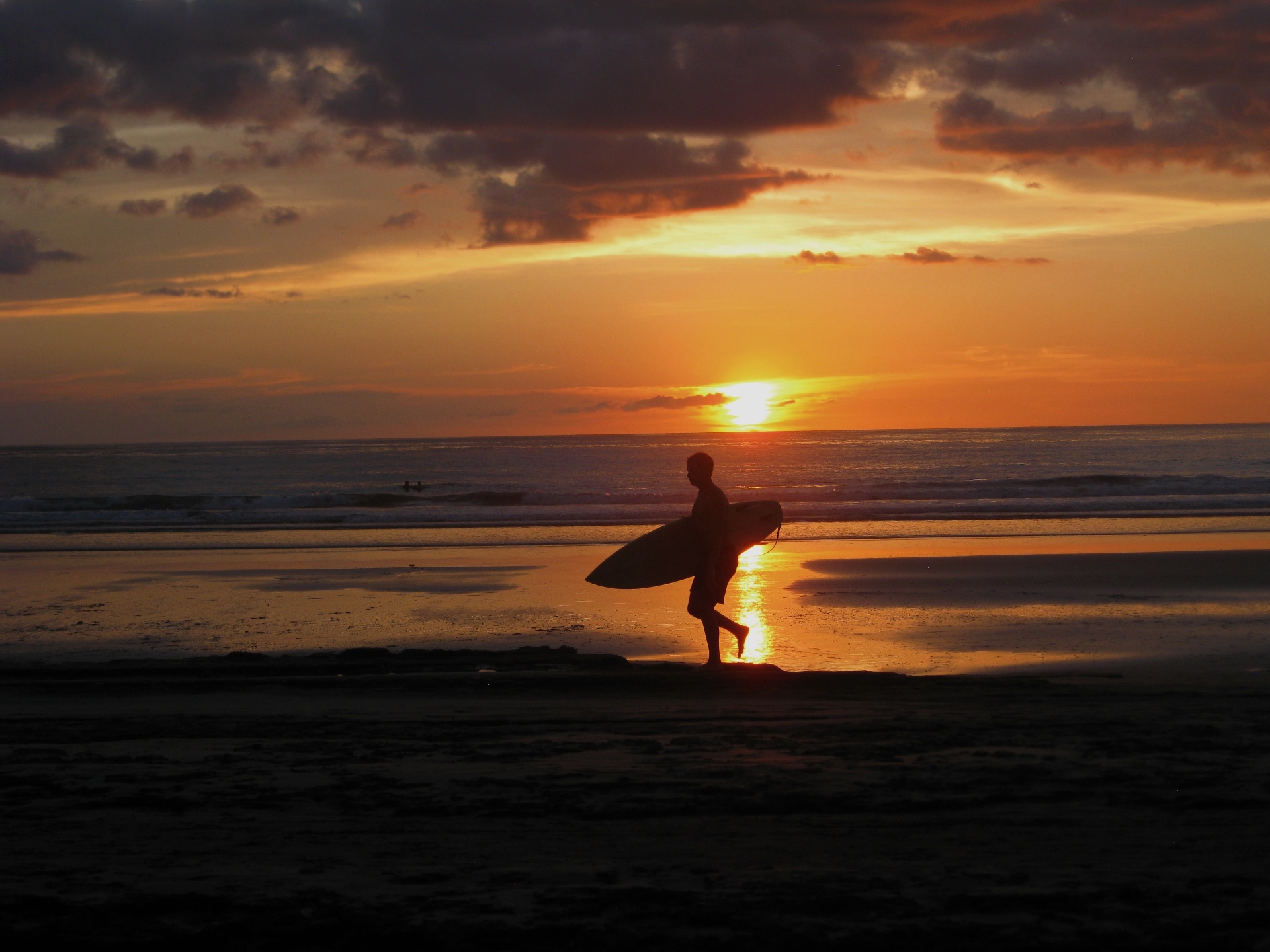 Surfer walking on the beach at sunset