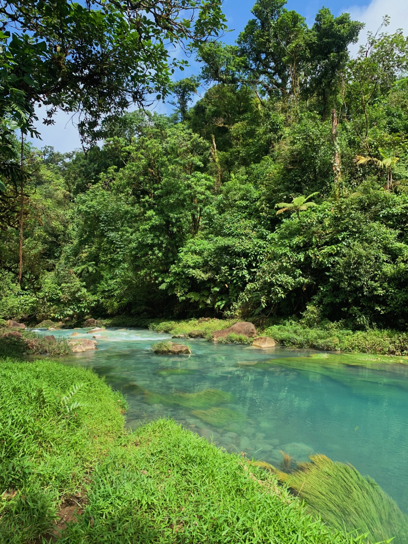 Turquoise river in the Costa Rican jungle