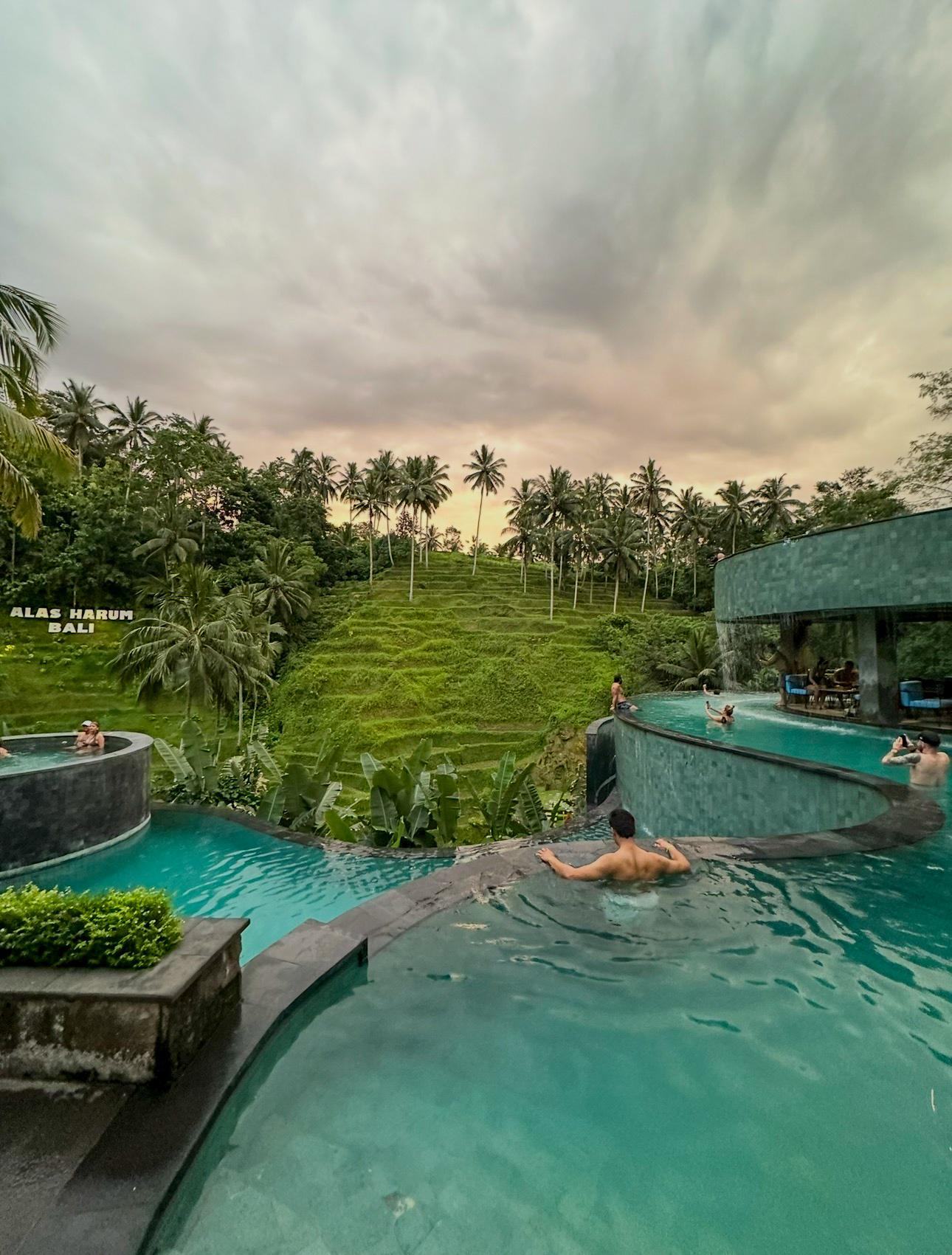 Jungle infinity pool at Alas Harum, Bali